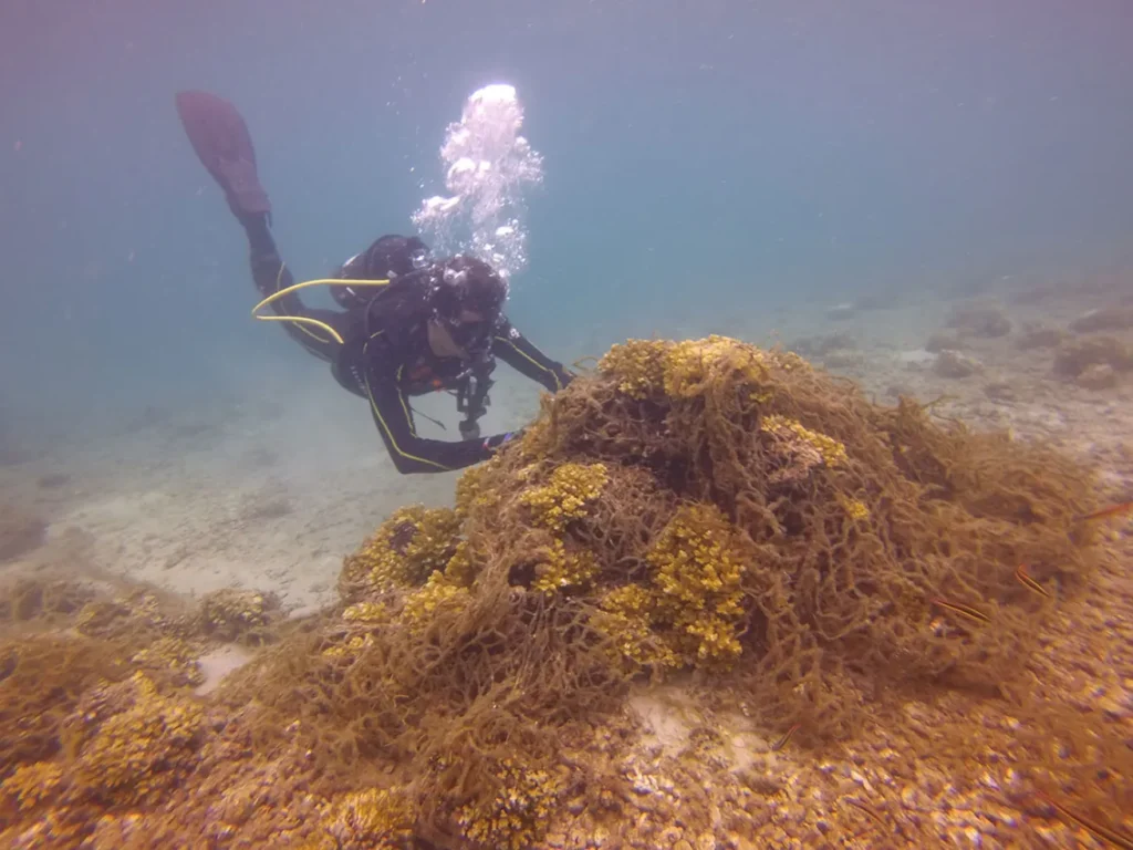 Scuba diver documenting marine debris underwater in Hong Kong